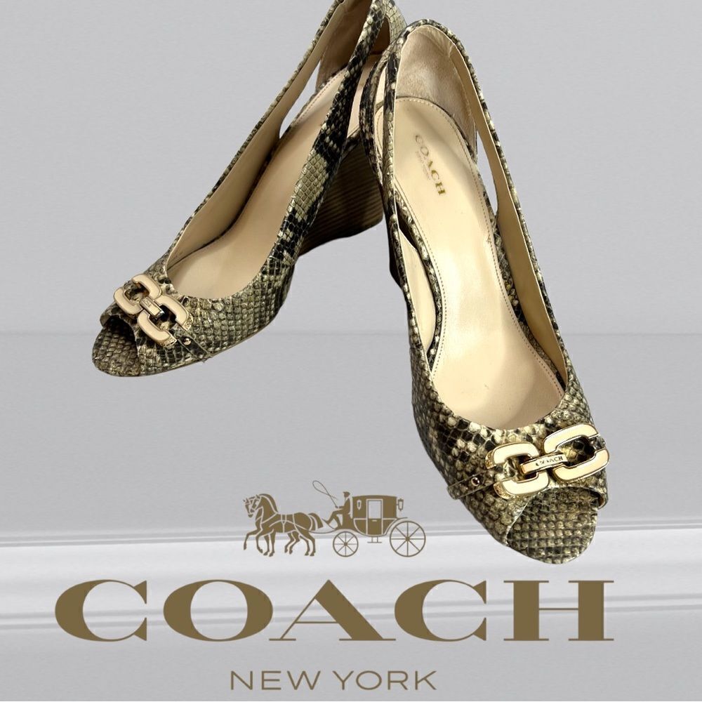 Coach Snakeskin Wedges with Gold Accents